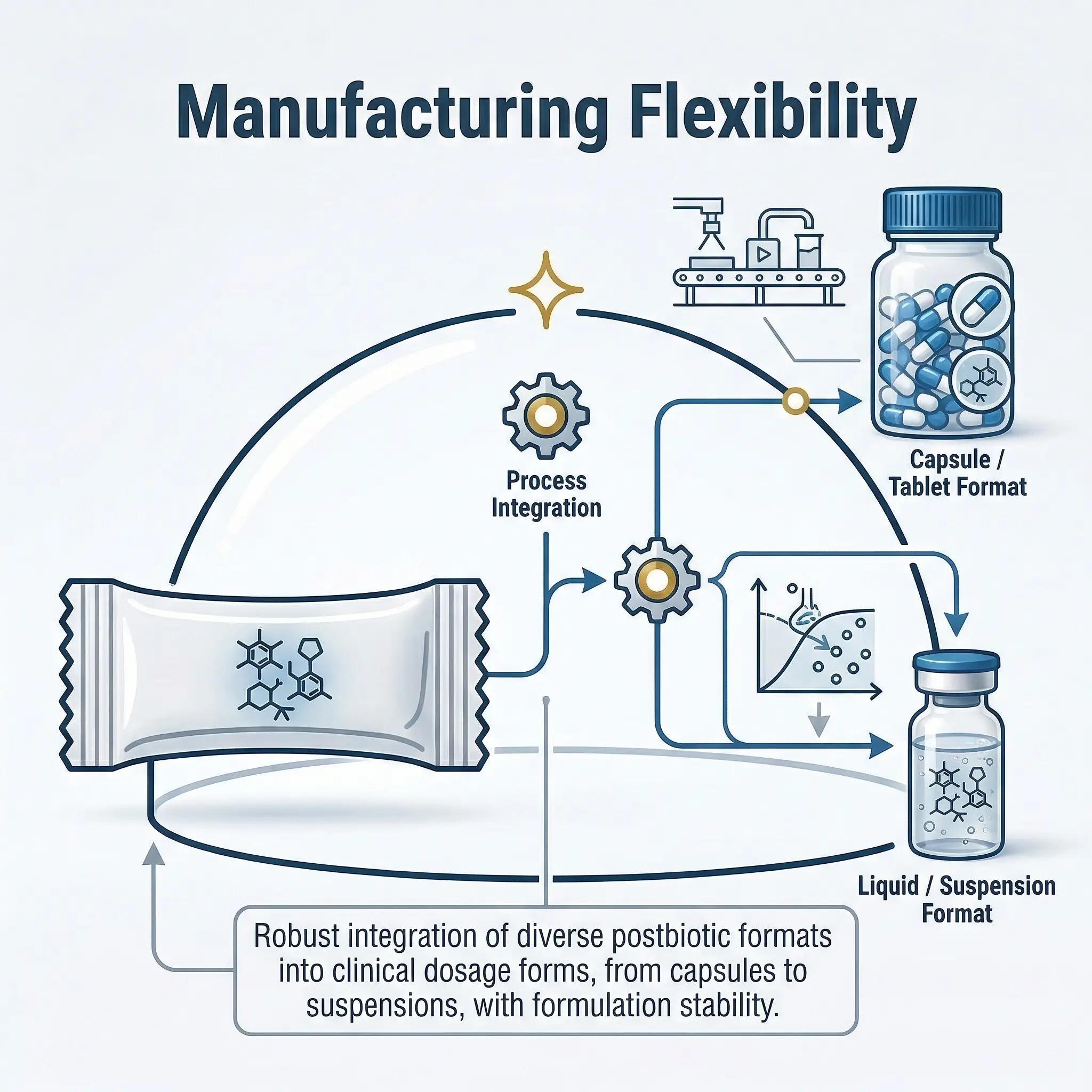 Manufacturing Flexibility