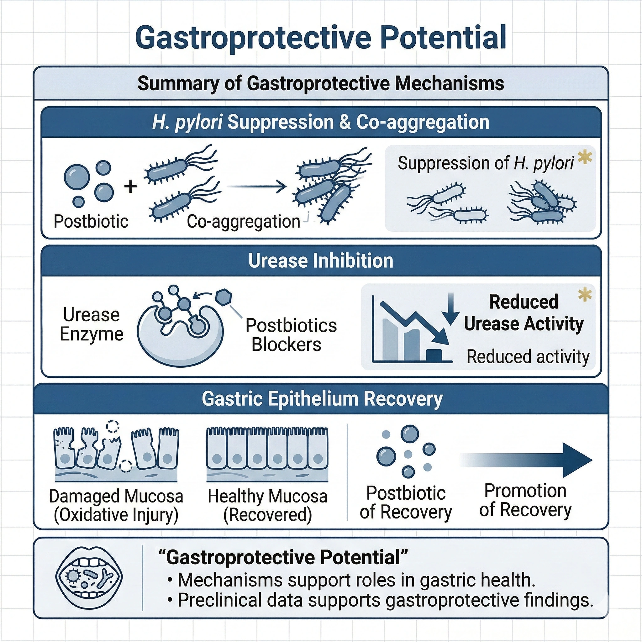 Gastroprotective Potential